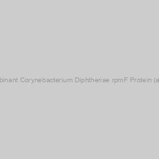 Image of Recombinant Corynebacterium Diphtheriae rpmF Protein (aa 1-57)